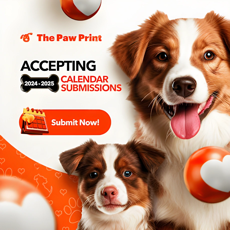 Social Media Campaign